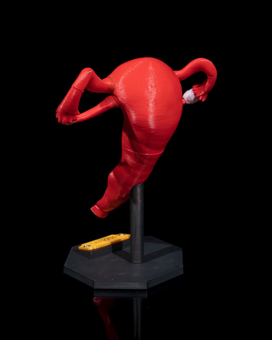 Uterul