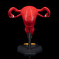 Uterul