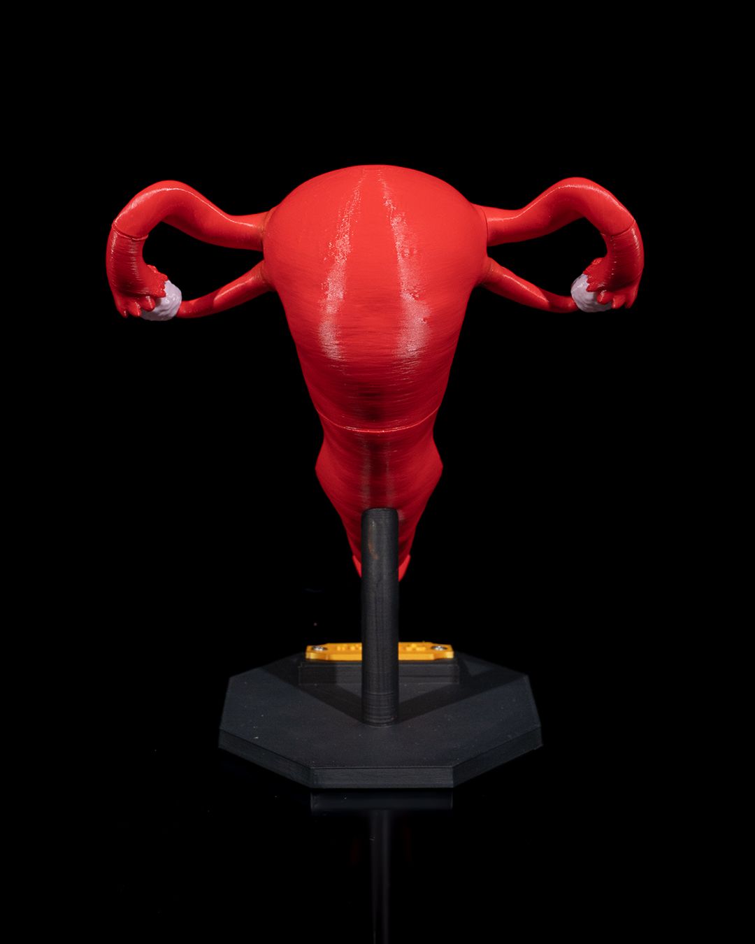 Uterul