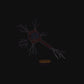 Neuronul